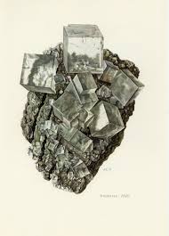 Rock Salt Halite Mineral Vintage Lithograph From 1967 By Ojiochaprints On Etsy Minerals Print Crystal Illustration Minerals