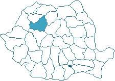 Inspectoratul de politie al judetului cluj. Isc