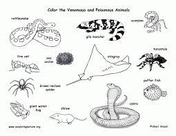 Plus, it's an easy way to celebrate each season or special holidays. Desert Animals Coloring Page Coloring Library