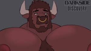 Bull gay sex furry