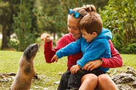 Durante il weekend, un bambino di 5 anni è scomparso da una comunità gestita dal gruppo abele. Il Concorso Per La Festa Della Mamma 25 Foto L Adige It