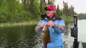 Then fly into northwest ontario's birch bark lodge, a. Lindner S Angling Edge 2020