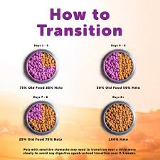 Vegetarian dog food recipes used to make treats combined with all other treats should make up no more than 10% of your dog's total diet. Halo Adult Dog Holistic Garden Of Vegan Recipe Halo Pets