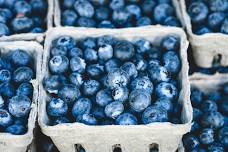The Vermont Blueberry Festival
