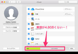 One of the key selling points of the apple ecosystem is the tight integration between apple's devices, its software, and its online services. ã‚´ãƒŸç®±ã‚'ç©ºã«ã—ãŸã‚‰icloudã®ã‚¹ãƒˆãƒ¬ãƒ¼ã‚¸ãŒã‚¬ãƒ©ç©ºãã«ãªã£ãŸ Technical Creator