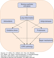 chronic obstructive pulmonary disease pharmacotherapy a