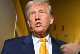 Donald Trump spotlight divides South Africa's Afrikaners