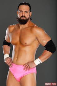 Image result for damien sandow