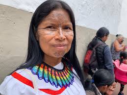 She goes and helps': Noemí Gualinga, Ecuador's mother of the jungle