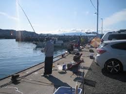 アジ 釣れる時期と時間 釣れる場所 海釣りのバイブル