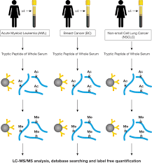 A tissue is an ensemble of similar cells and their extracellular matrix from the same origin that together carry out. Quantitative Profiling Of Post Translational Modifications By Immunoaffinity Enrichment And Lc Ms Ms In Cancer Serum Without Immunodepletion Molecular Cellular Proteomics