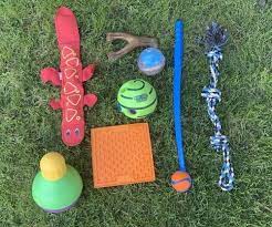 Maybe you would like to learn more about one of these? The 8 Best Toys For Australian Shepherds We Re All About Pets