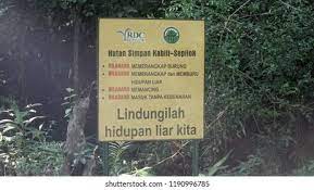 Bab.la is not responsible for their content. Hutan Simpan In English Use Translate Com To Cover It All