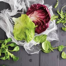 Place the arugula storage container or box in the refrigerator or a dark and cold place in your cellar. How To Shop Store And Use Fresh Greens Chatelaine