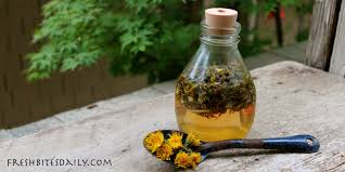 Dandelion Vinegar Infusion – How to Make It, How to Use It – Fresh ...