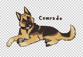 Great stock dogs the development of today's german shepherd dog , or gsd, began in 1899, when rittmeister von the following standard has been approved by the executive board at the meeting inbangor, maine, on may 6, 1998. German Shepherd Dog Breed Puppy Drawing Art Puppy Mammal Animals Carnivoran Png Klipartz