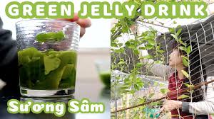Check out our suong sam plant selection for the very best in unique or custom, handmade pieces from our did you scroll all this way to get facts about suong sam plant? Mom S Garden Green Jelly Drink From Scratch Tiliacora Triandra SÆ°Æ¡ng Sam Youtube
