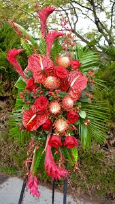 We did not find results for: Cherished In San Diego Ca Rainbow Flowers