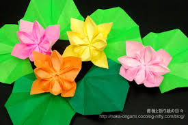 すいれん 薔薇と折り紙の日々