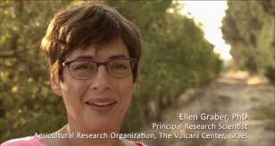 Scientist Ellen Graber and the Potentials of Biochar — THE DESERT and the  CITIES SING