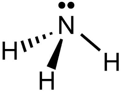 Maybe you would like to learn more about one of these? Nitrogen Gas Lewis Dot Structure Novocom Top