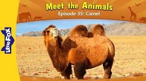 Pin On Class Rewards