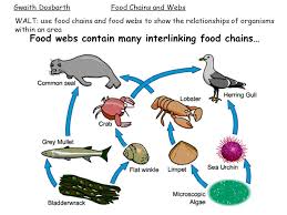 Check spelling or type a new query. How To Teach Kids Early Childhood Pre School