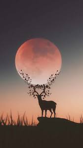 Animal Wallpapers Iphone Wallpapers Deer Wallpaper Animal Wallpaper Nature Wallpaper