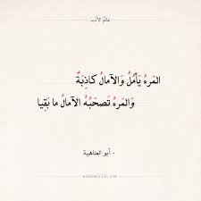 أبيات شعر حكمه عالم الأدب Arabic Poetry Quotes Poetry