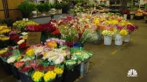 (5 days ago) (6 days ago) farmgirl flowers promo codes july 2021: Farmgirl Flowers Extended Sneak Peek Youtube