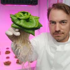 Salat aus dem Weltall