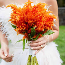 Check spelling or type a new query. 47 Beautiful Bouquets For A Fall Wedding