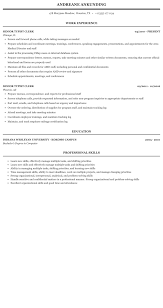 senior typist clerk resume sample