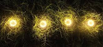 Best Disk Lights Reviews 2020 Reviews