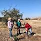 Native Tree Planting event image