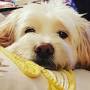 Profile Picture of Sabrina Harrington (brinabee01) - Profile - Pintereston Google