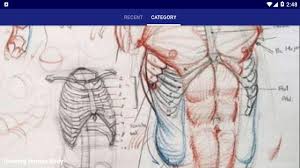 All the best human body anatomy drawing 37+ collected on this page. Drawing Human Body For Android Apk Download