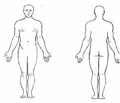This quiz is particularly designed to test your knowledge of anatomical terminology, directional terminology, and movement of joints. Blank Human Body Diagram Koibana Info Human Body Diagram Body Outline Human Body Anatomy