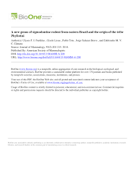 (2015) hyorhinomys stuempkei muridae asia morphology, molecular esselstyn et al. Pdf A New Genus Of Sigmodontine Rodent From Eastern Brazil And The Origin Of The Tribe Phyllotini
