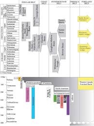 Chart Showing The Space Time Relationships Among Major