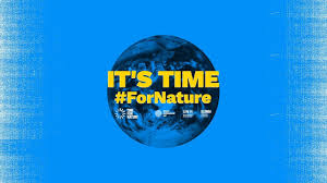 La giornata mondiale dell'ambiente è stata istituita dall'assemblea generale dell'onu nel 1972, a memoria della conferenza di stoccolma sull'ambiente umano nel corso della quale prese forma il programma ambiente delle nazioni unite (conosciuto con la sigla inglese unep, united nations. Giornata Dell Ambiente E Tempo Per La Natura Vatican News