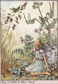 Check spelling or type a new query. The Stork S Bill Fairy Cross Stitch Pattern Cross Stitch Design Counted Cross Stitch Pattern In Pdf Format In 2021 Flower Fairies Embroidery Flowers Ribbon Embroidery