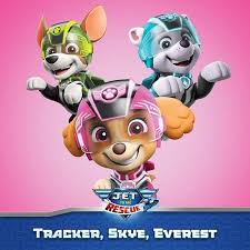 When the scheming duke steals a levitation gem from the castle, paw patrol must come to rescue before the town is lost forever. Nick Jr Australia On Instagram Who Is Your Little One S Favourite Pawpatrol Character Don T F Paw Patrol Cartoon Paw Patrol Decorations Paw Patrol