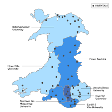 Lonely planet's guide to cardiff. Health Boards And Hospitals In Wales Richmond Nursing Agency Ltd