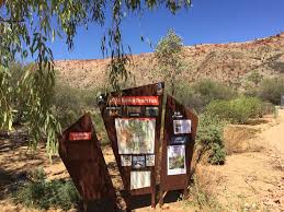 The alice springs show 2nd & 3rd july 2021. A Visit To The Alice Springs Desert Park 5 Lost Together