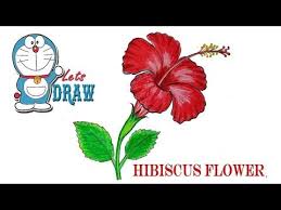 This Tutorial Is Very Easy For Kids I Use Two Brand Of Color Pencil 1 Diamond Color Penc Hibiscus Flower Drawing How To Draw A Hibiscus Flower Flower Drawing