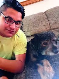 Found dog in Springfield MO, Titos collar