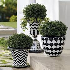 Black And White Checkered Outdoor Planters Lulu Planter Planters Painted Flower Pots Garden