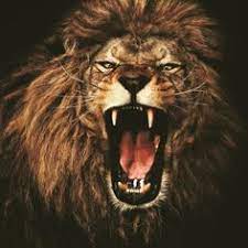 Logo keren 2017 3 logodesignfx. 28 Singa Ideas Singa Haiwan Peliharaan Kesatria