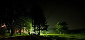 Crickets sound effect, crickets sound fx, crickets audio, crickets sounds, crickets mp3, crickets fx, crickets download sound, crickets sfx, insects fx. Cricket Sound Effect Free Sound Clips Animal Sounds